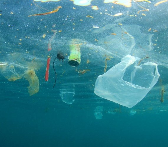 Używamy za dużo plastiku? Indie wprowadziły zakaz. Fot. Rich Carey/Shutterstock