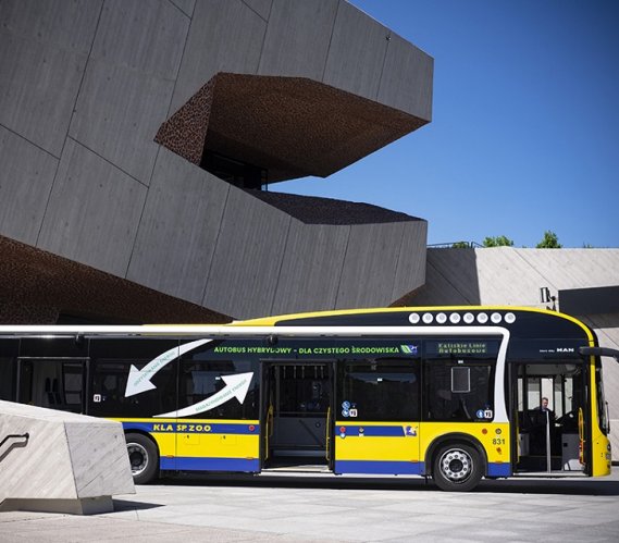 Toruń kupi 14 autobusów hybrydowych. Fot.: UM Toruń