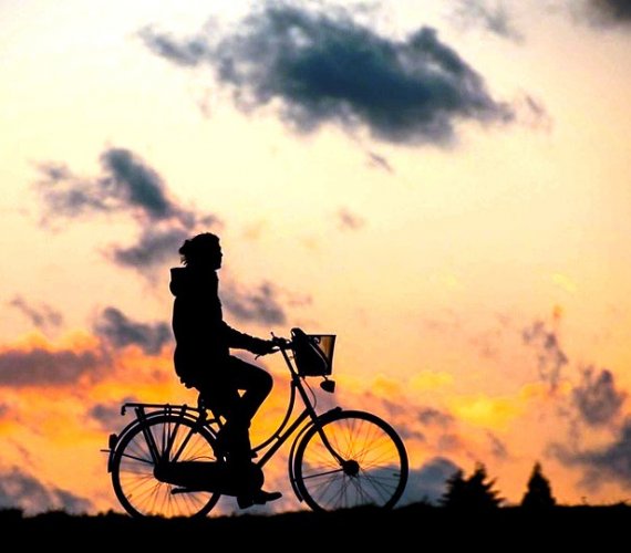 Rower Metropolitalny na Pomorzu: rowery tylko elektryczne? Fot. Renategranade0/Pixabay