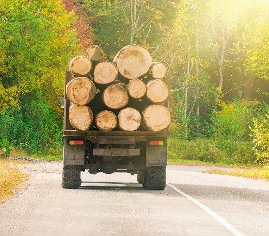 Pojazdy przewożące drewno mogą być przeciążone nawet o połowę. Fot. Snova / Shutterstock
