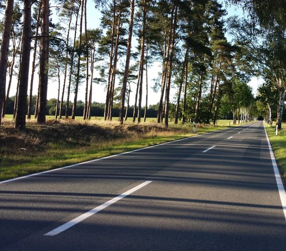 Obwodnica Gostynia zacznie się w miejscu połączenia z drogą krajową nr 12 i drogą powiatową nr 4954P, koniec obwodnicy będzie na skrzyżowaniu z drogą powiatową nr 4939P Gostyń–Krajewice. Fot. Pixabay