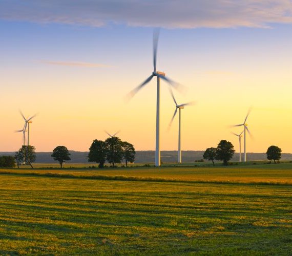 W aukcjach rynku mocy najlepiej radzą sobie farmy wiatrowe. Fot. gkrphoto/Adobe Stock