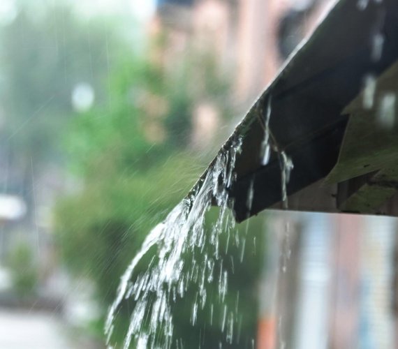 Deszczówka może zastąpić wodę z sieci. Fot. Kulkann/Adobe Stock