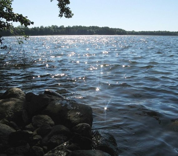 Jezioro Ińsko. Fot. paciana/Wikipedia