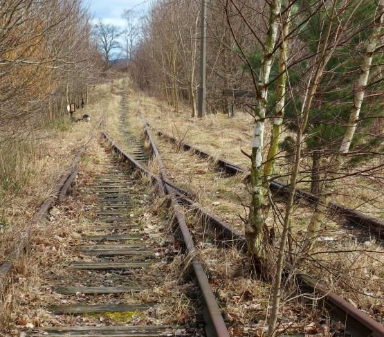 Nieczynna linia kolejowa Sierakowice–Kartuzy. Fot. Iwona/Adobe Stock