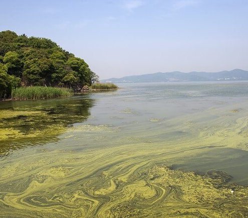 Jezioro Tai Hu, Chiny. Fot. jasonyu / Adobe Stock
