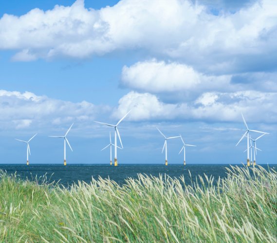 Włosi wybudują kolejną farmę wiatrową