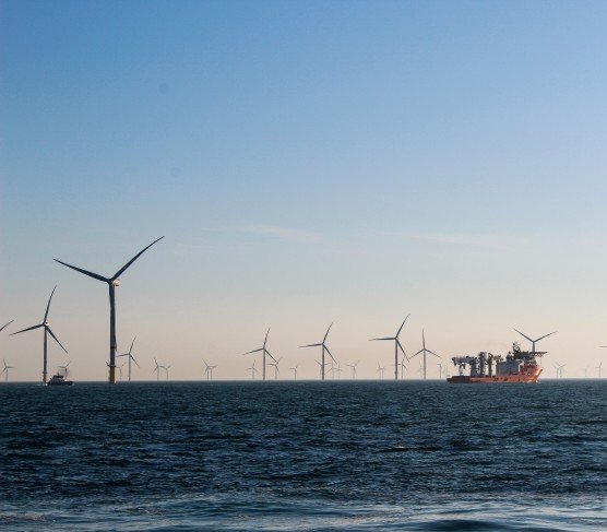 TotalEnergies z KGHM chcą stawiać morskie farmy wiatrowe na Bałtyku