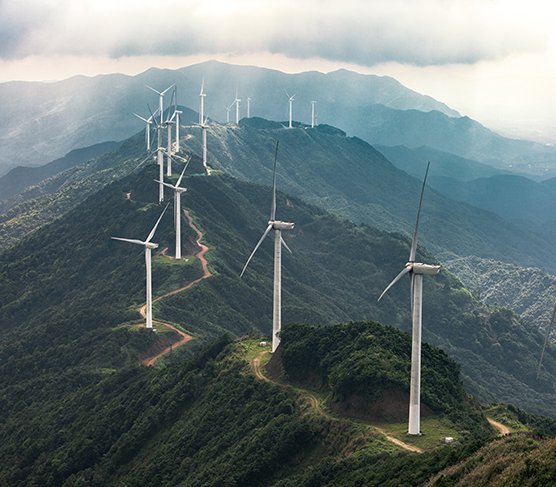 Farma wiatrowa w Chinach. Fot. Adobe Stock