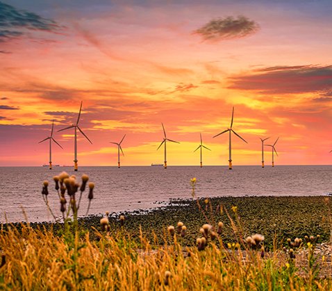 Rozwój morskiej branży wiatrowej z perspektywy globalnej. Fot. Adobe Stock