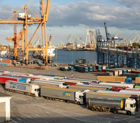 Port Gdynia, terminal kontenerowy. Fot. Mike Mareen Adobe Stock