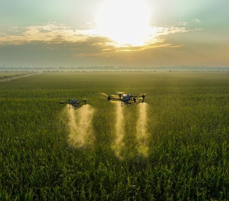 Jak drony rolnicze ułatwiają pracę na roli?