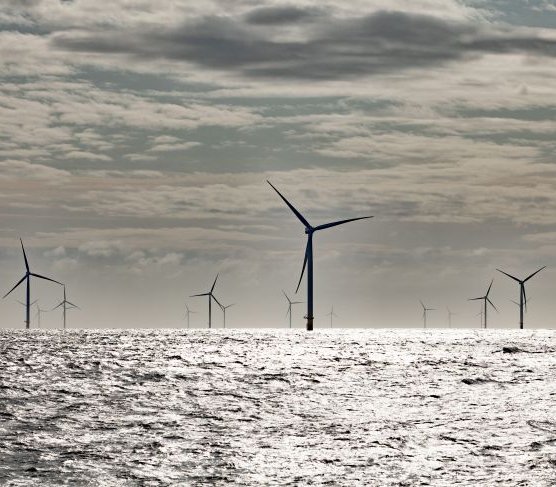 Ørsted rezygnuje z projektu budowy dużej morskiej farmy wiatrowej