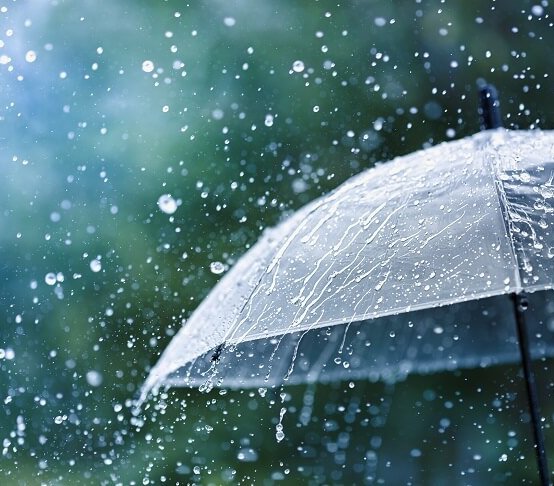 Fot. ilustrac. juliasudnitskaya/Adobe Stock