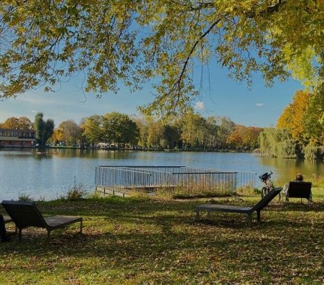 Fot. Zarząd Zieleni Miejskiej w Krakowie