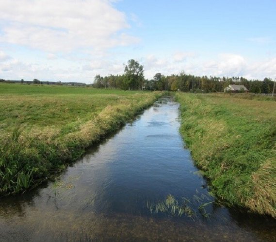 Biała Nida. Fot. Wody Polskie