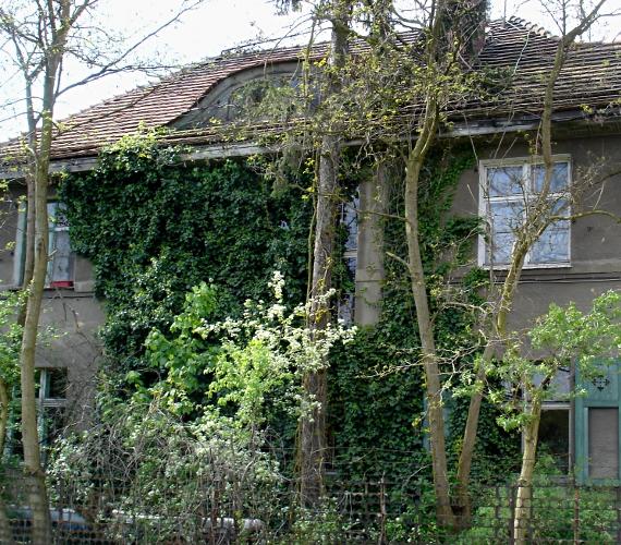 Fot. www.ocalmyzabytek.ubf.pl