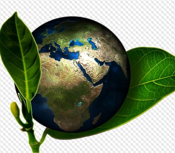 Konferencje propagują ochronę klimatu i redukcję emisji gazów cieplarnianych na świecie. Fot. Pixabay