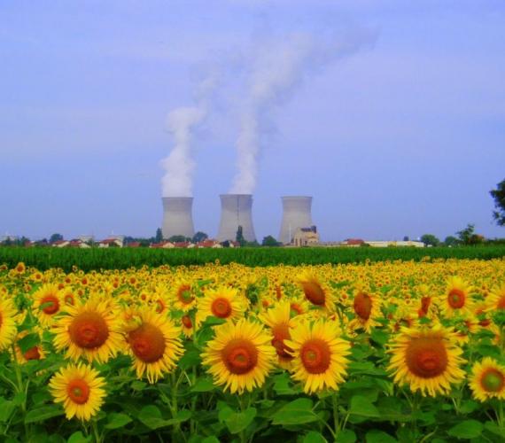 Elektrownia jądrowa Bugey /Fot. Wikimedia Commons