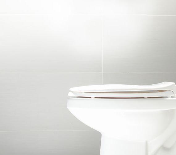 Poznaj historię toalety /Fot. Shutterstock
