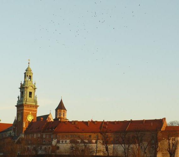 Wawel. Fot. inzynieria.com