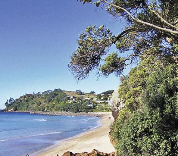 Program ochrony plaż Nowej Zelandii związany z zastosowaniem technologii bezwykopowych