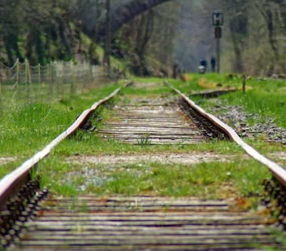 NIK: nadal jest groźnie na przejściach kolejowych. Fot. pixabay.com