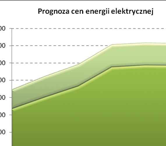 Rys. 1. Źródło: Ministerstwo Gospodarki, ?Prognoza zapotrzebowania na paliwa i energię do 2030 roku?, Warszawa 2009, s. 17