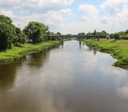 shutterstock_508085803