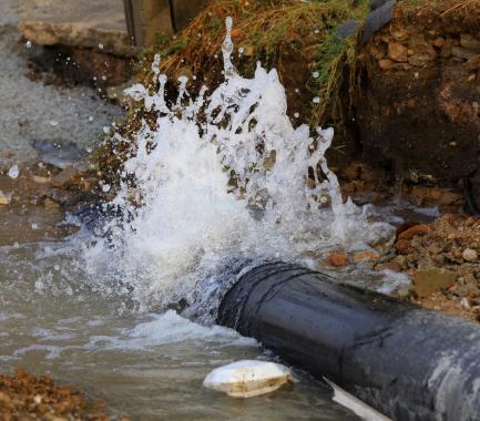 shutterstock_596176823