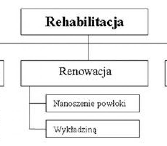 Rys. 1. Opcje rehabilitacji rurociągów.
