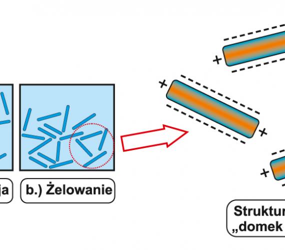 Rys. 1. Charakterystyczny układ pakietów
montmorillonitu w wodzie, tworzących
struktury przestrzenne