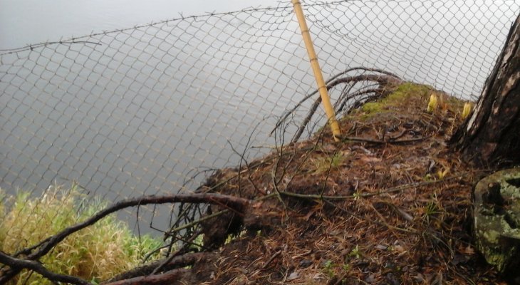 Narew w miejscowości Dzbądzek. Fot. Wody Polskie