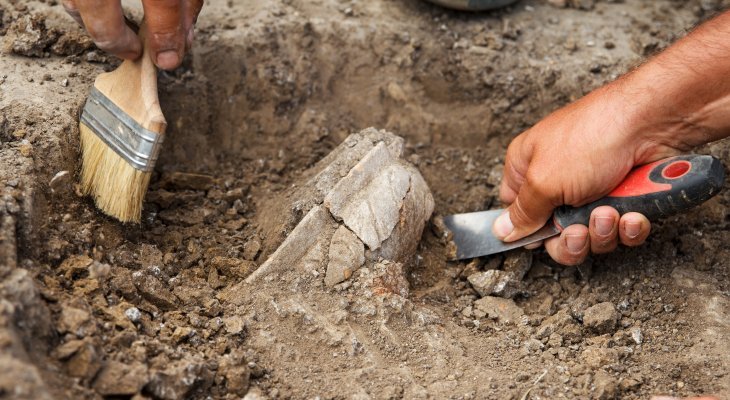 Fot. ilustracyjne. Mariana Rusanovschi/AdobeStock