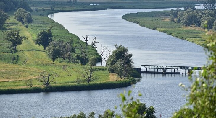Fot. Barbara Bajorek/Adobe Stock