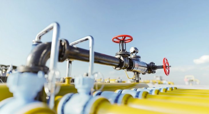 Fot. ilustracyjne: Photocreo Bednarek/Adobe Stock