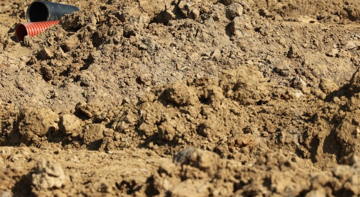 Fot. Adobe Stock / FotoDax