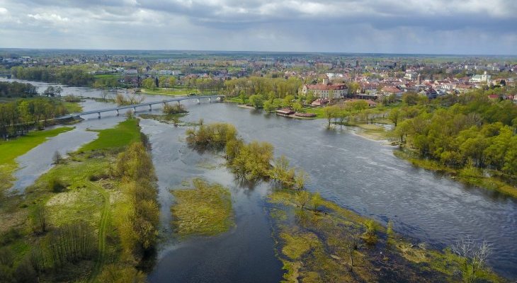 Narew pod Pułtuskiem. Fot. Hubert GHG/Adobe Stock