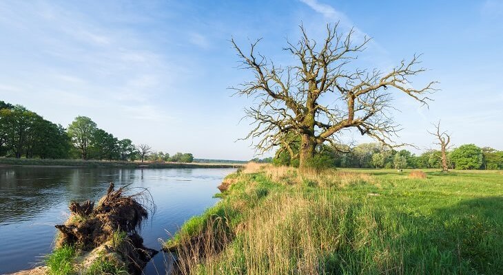 Warta. Fot. Piotr Szpakowski/Adobe Stock