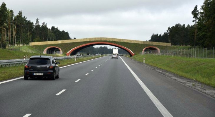 Budimex wybuduje kolejnych 20 km trasy Via Baltica. Fot. GDDKiA