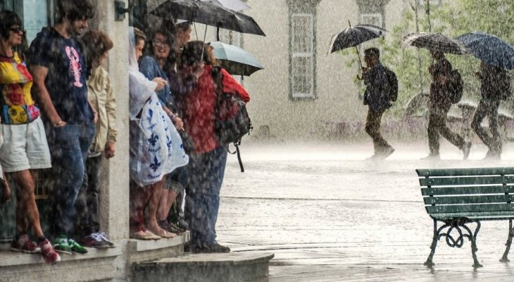Oto, co miasta powinny robić z wodą z deszczu. Fot. Andriy Blokhin/Shutterstock