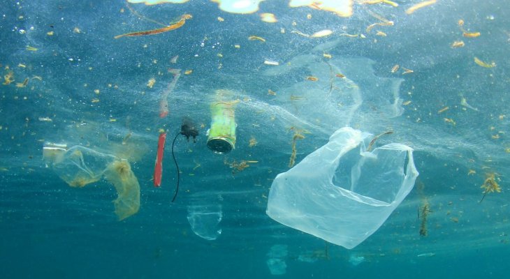 Używamy za dużo plastiku? Indie wprowadziły zakaz. Fot. Rich Carey/Shutterstock