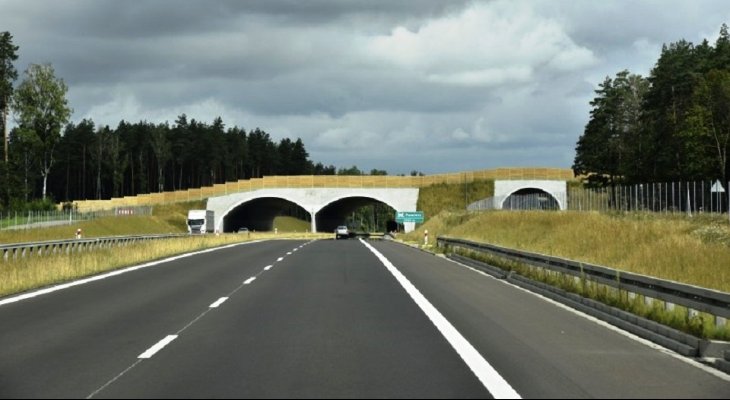 Olsztyn: porozumienie drogowców z leśnikami. Fot. GDDKiA