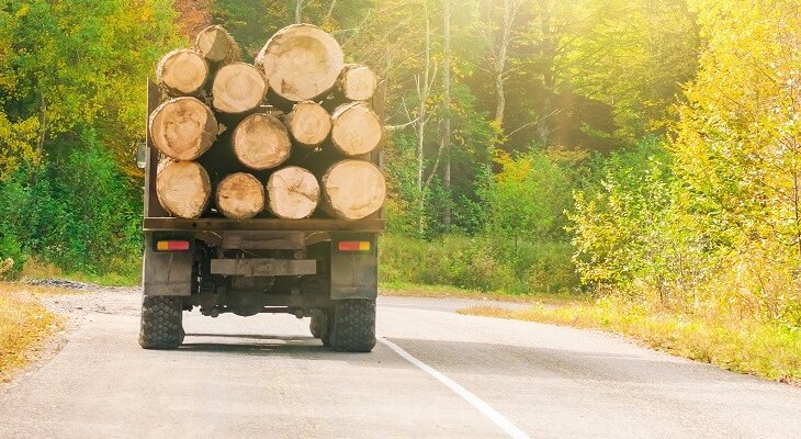 Pojazdy przewożące drewno mogą być przeciążone nawet o połowę. Fot. Snova / Shutterstock
