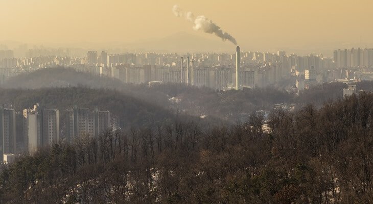 Według MPiT w 2016 r. z powodu niskiej emisji w Polsce zmarło 19 tys. osób. Fot. Ungsam / Shutterstock