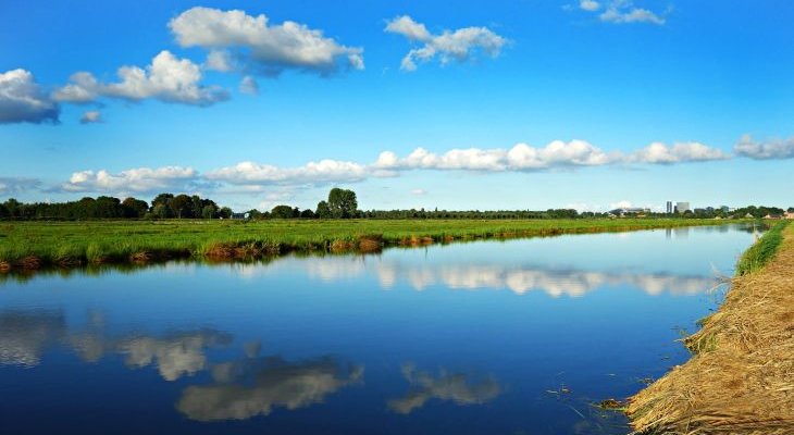 Wody Polskie przebudują polder Żelazna. Fot. ilustracyjne MabelAmber/Pixabay