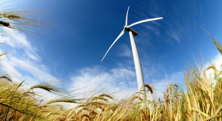 Czy farmy wiatrowe uzyskają wreszcie zielone światło? Fot. Martin Vonka/Adobe Stock
