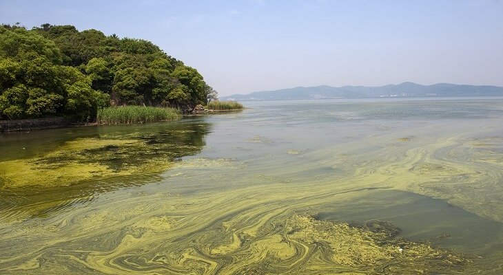 Jezioro Tai Hu, Chiny. Fot. jasonyu / Adobe Stock