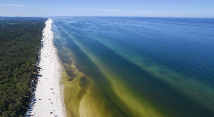 Morze Bałtyckie. Fot. Tomasz Warszewski/Adobe Stock