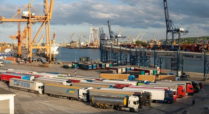Port Gdynia, terminal kontenerowy. Fot. Mike Mareen/Adobe Stock